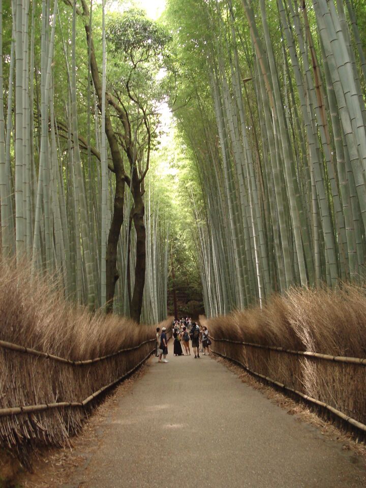 Path in Japan